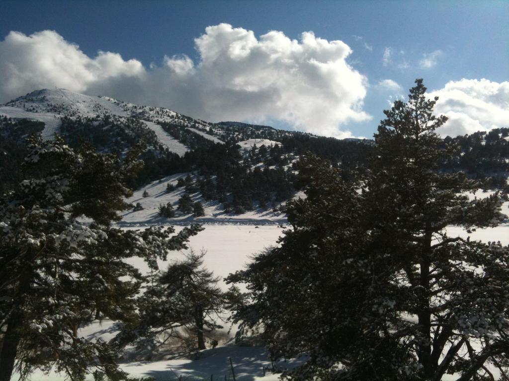 Apartment Face Aux Pistes グレオリエール・レ・ネージュ エクステリア 写真
