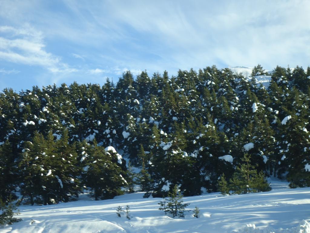 Apartment Face Aux Pistes グレオリエール・レ・ネージュ エクステリア 写真