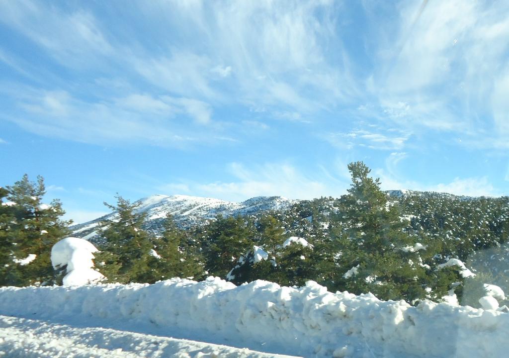 Apartment Face Aux Pistes グレオリエール・レ・ネージュ エクステリア 写真