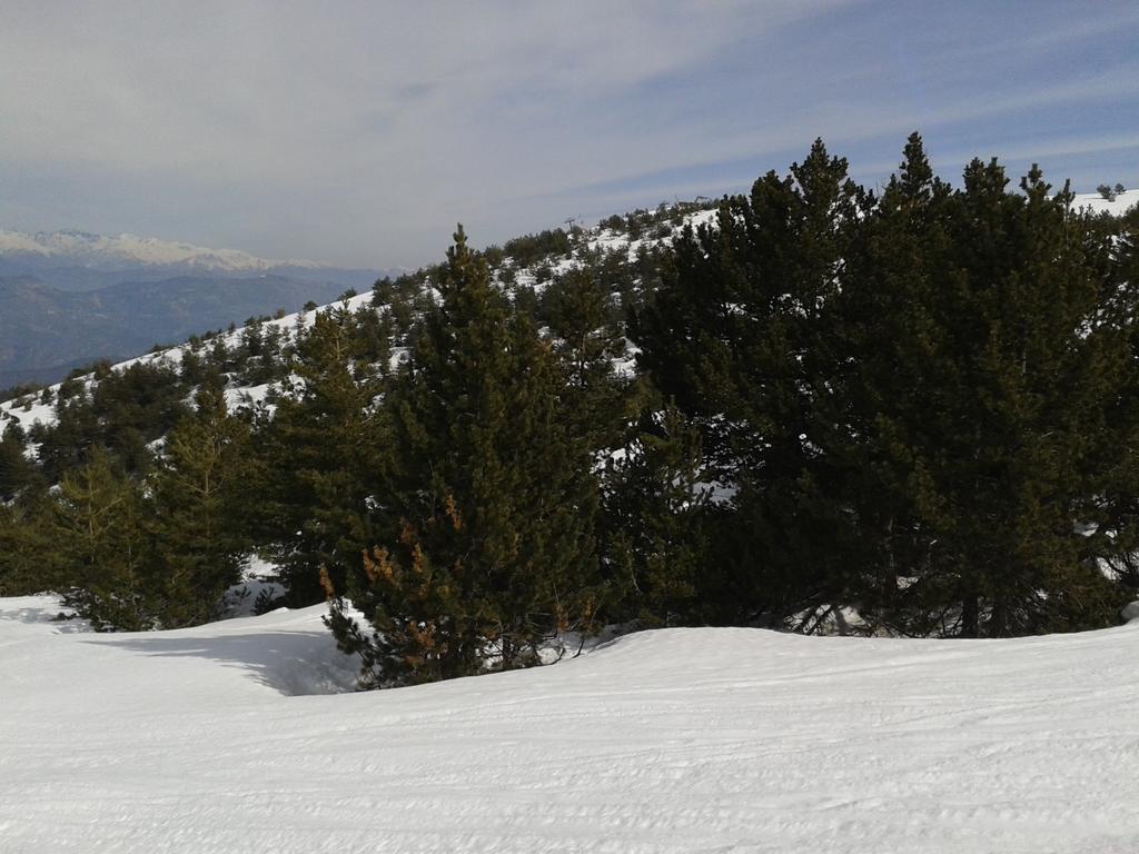Apartment Face Aux Pistes グレオリエール・レ・ネージュ エクステリア 写真