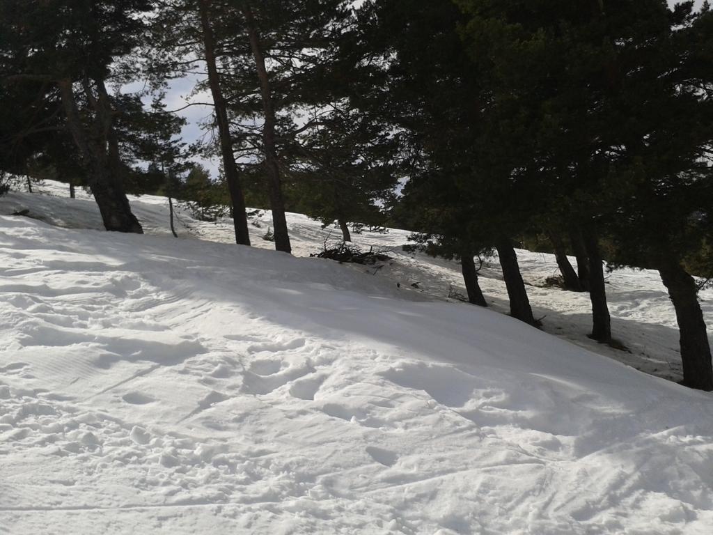 Apartment Face Aux Pistes グレオリエール・レ・ネージュ エクステリア 写真